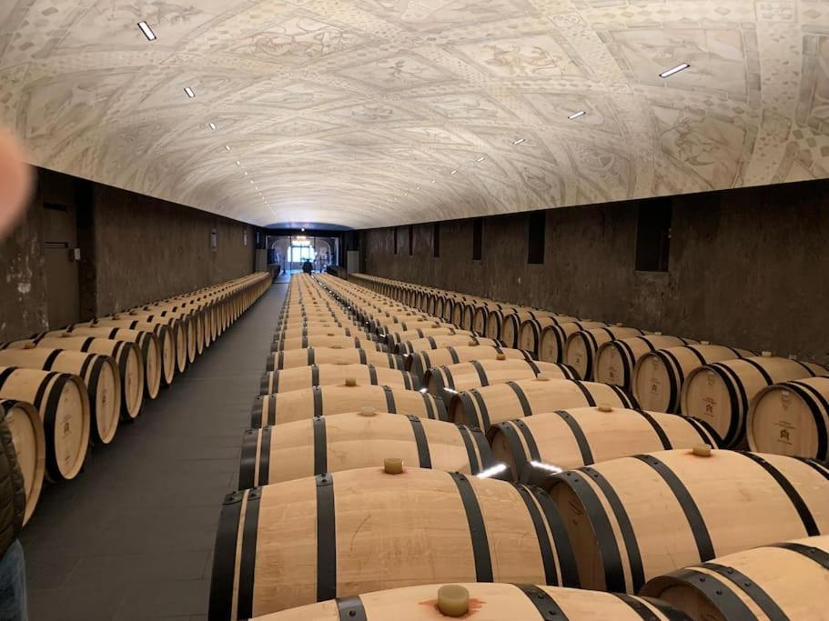 Studio Confortable Aux Portes De Bordeaux Et Medoc Ludon-Médoc Zewnętrze zdjęcie